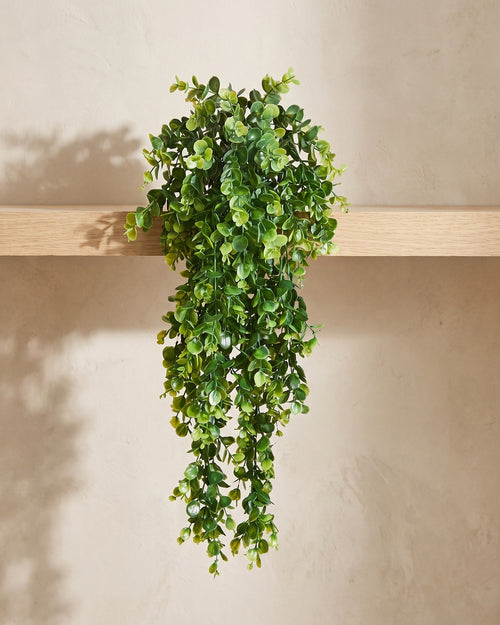 One artificial eucalyptus vine trailing over the edge of a pale oak shelf