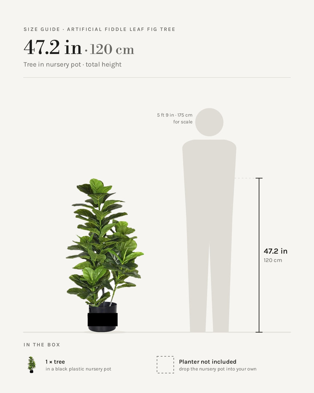 Size guide: 47.2 in tree in a nursery pot, beside a 5 ft 9 in figure