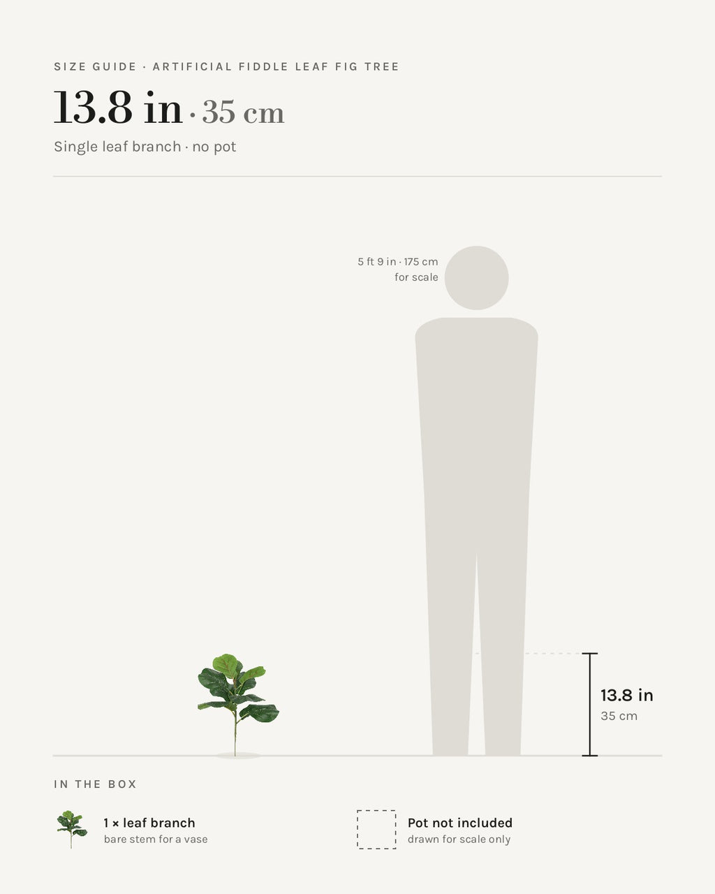 Size guide: 13.8 in single leaf branch, beside a 5 ft 9 in figure