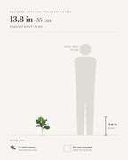 Size guide: 13.8 in single leaf branch, beside a 5 ft 9 in figure