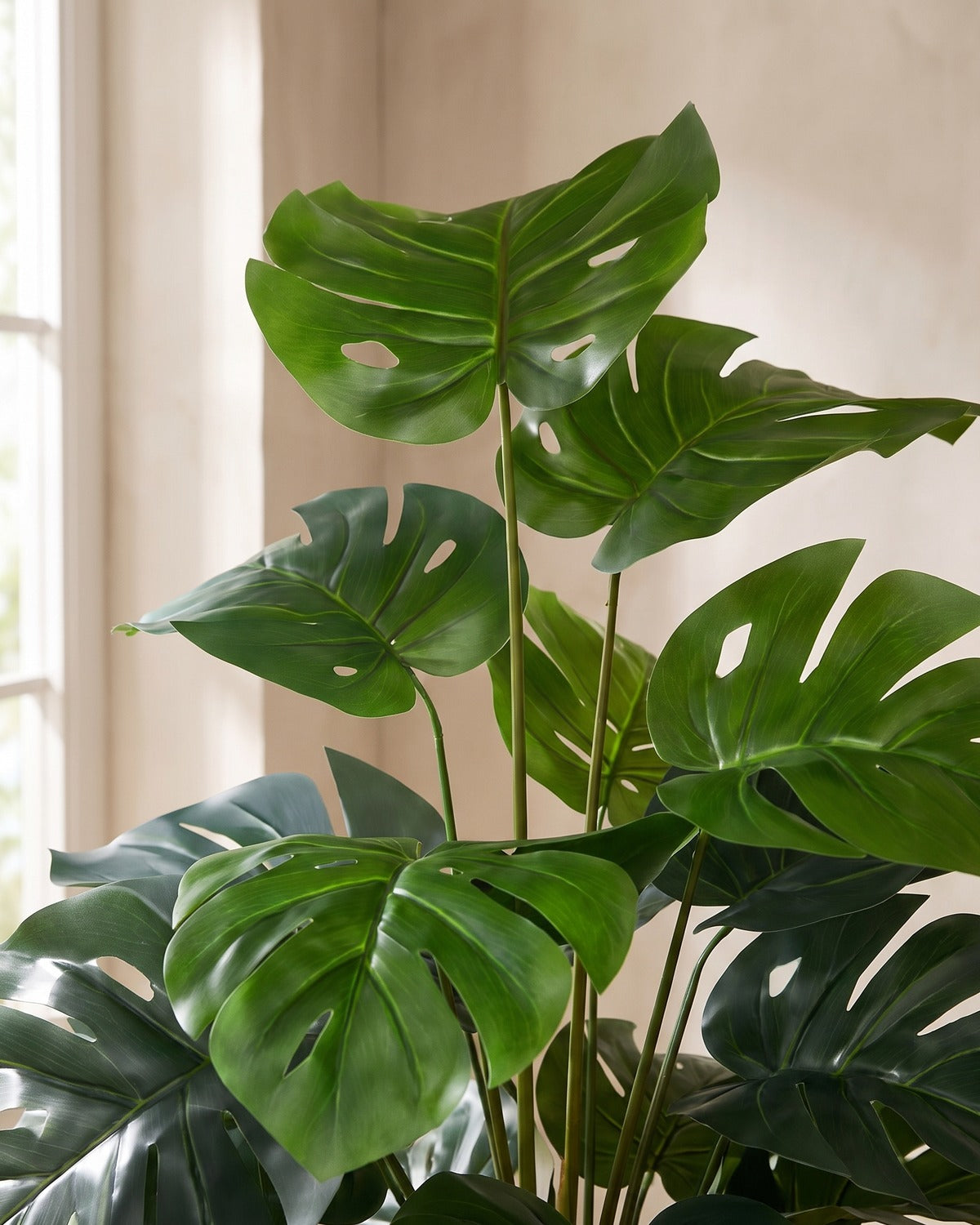 Close view of the artificial monstera's split, perforated leaves and slim stems in soft window light.