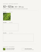 12 x 12 in (30 x 30 cm) moss mat, shown filled against the other two sizes at the same scale.