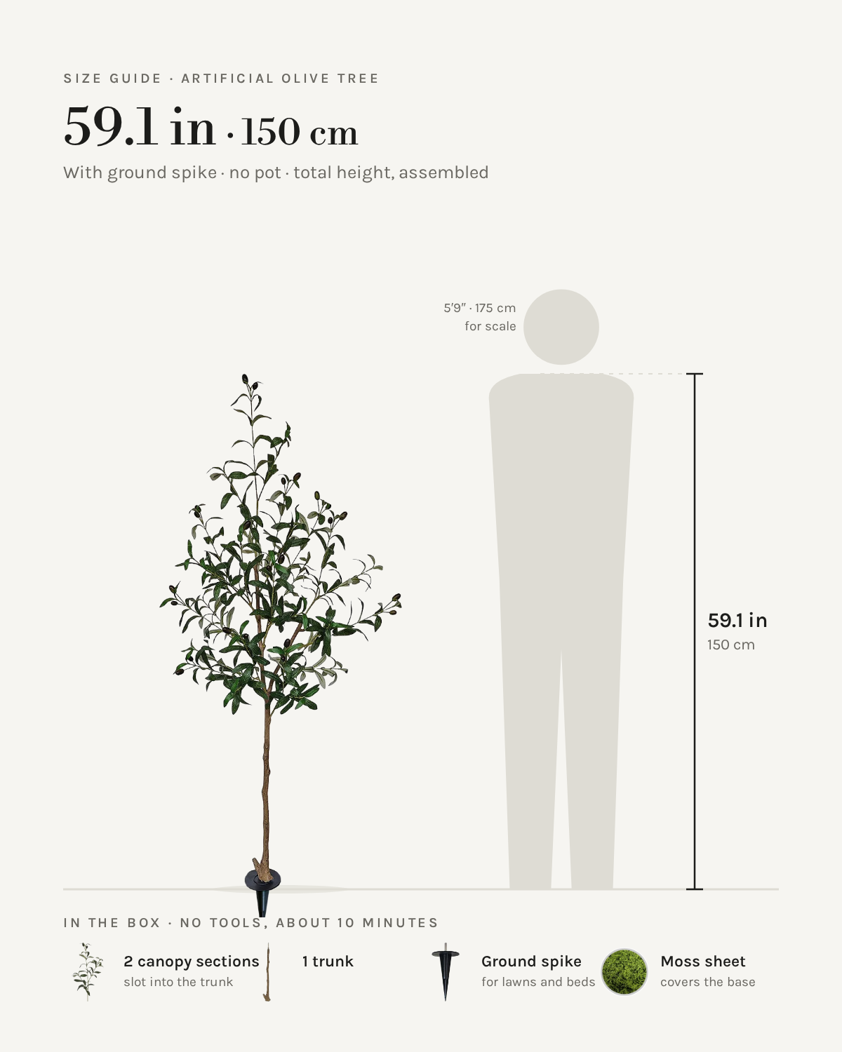 Size guide: 59 in / 150 cm artificial olive tree with ground spike, no pot, to scale beside a 5 ft 9 figure, with the sections in the box