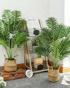 Two artificial areca palms in baskets beside a wooden shelving unit