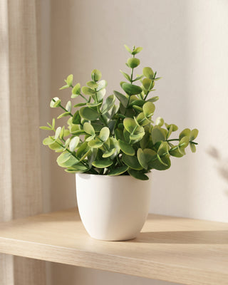 Mini artificial potted plant in a matte white pot on an oak shelf in soft daylight, coin leaf style