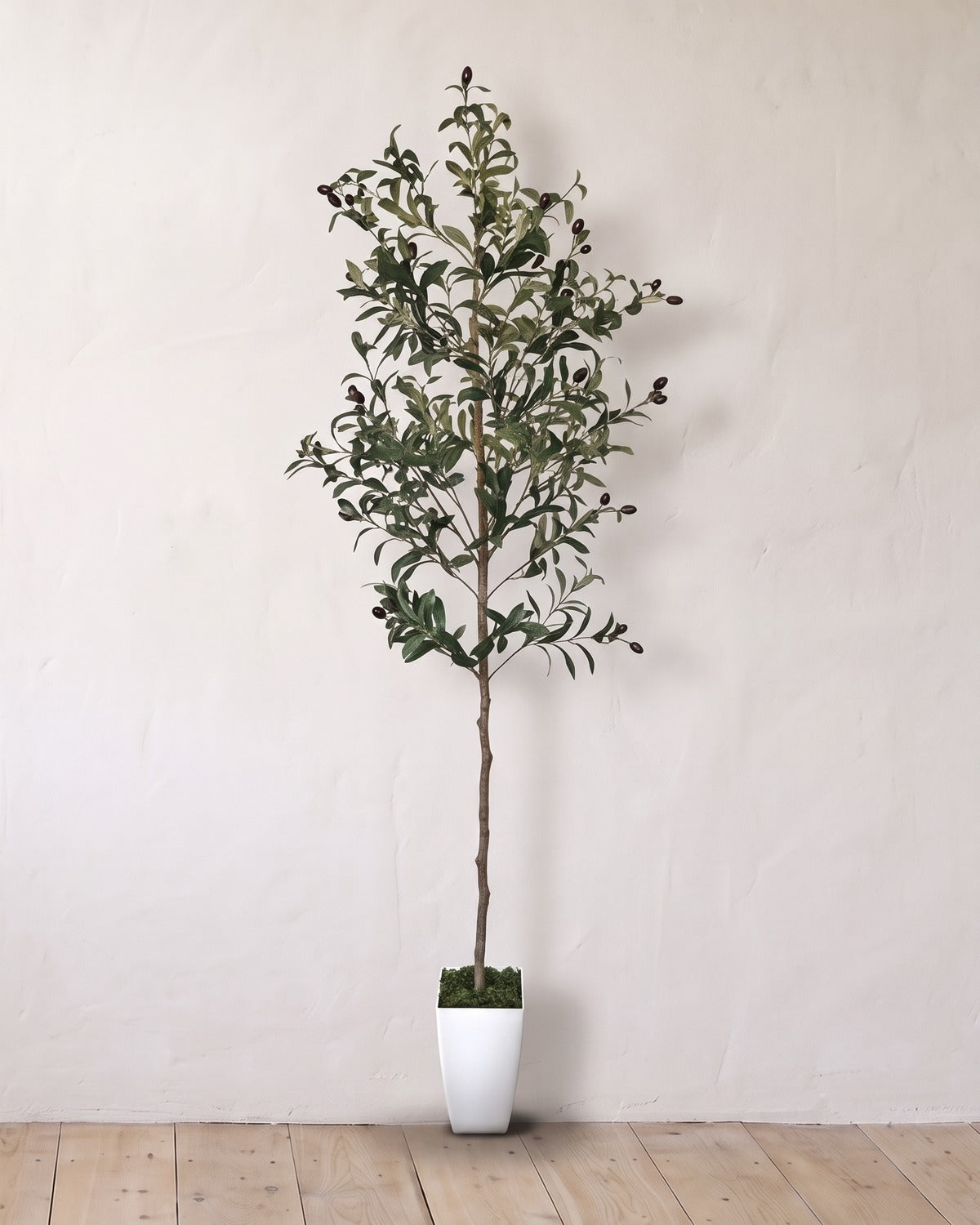 The 63 in artificial olive tree in the small white pot it ships with, against a warm white wall