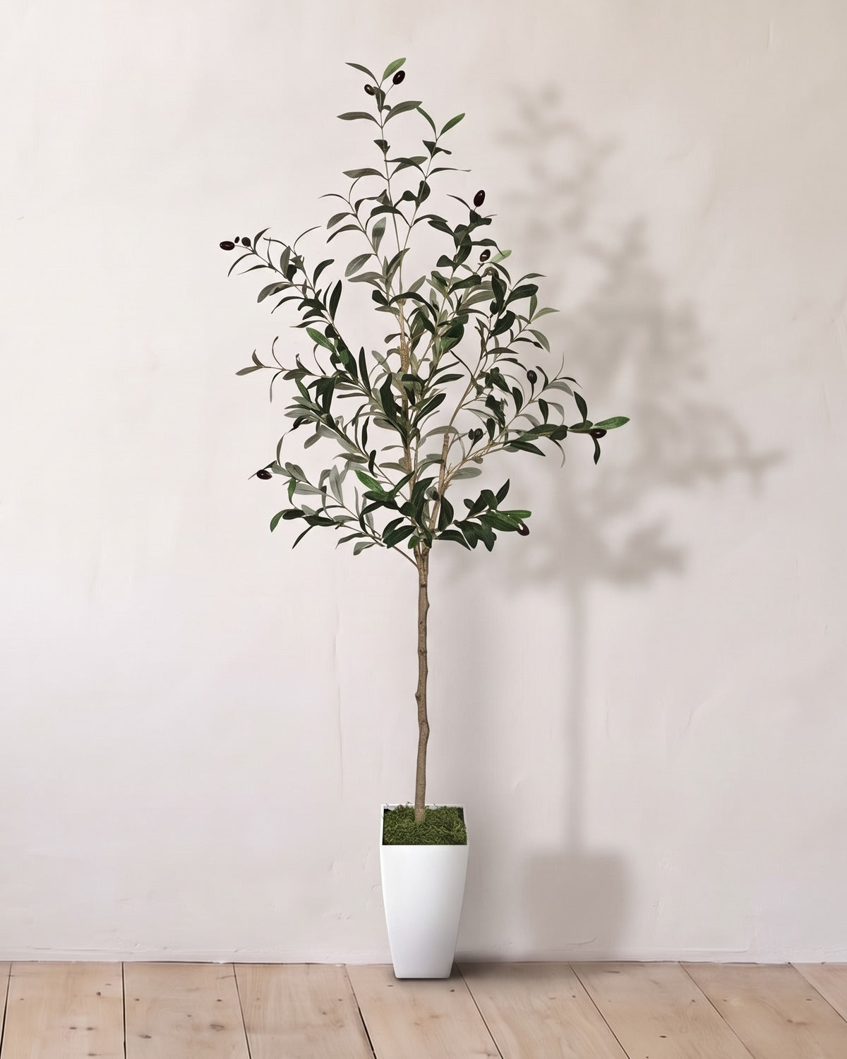 The 55 in artificial olive tree in the small white pot it ships with, against a warm white wall