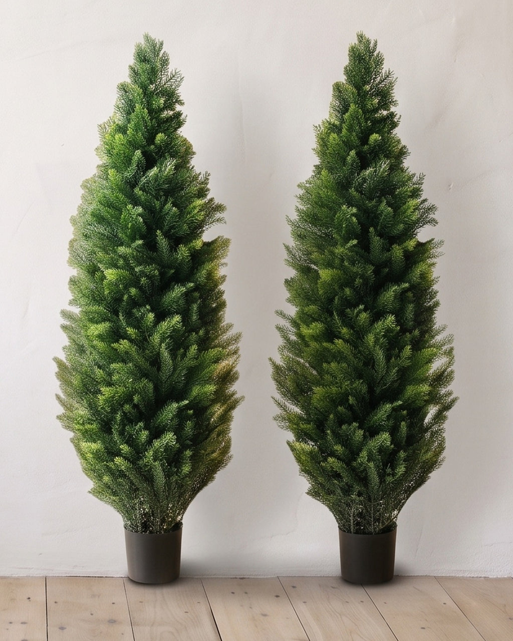 A pair of artificial cedar topiary trees at 48 in, in black nursery pots, against a warm white wall