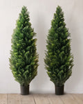 A pair of artificial cedar topiary trees at 48 in, in black nursery pots, against a warm white wall