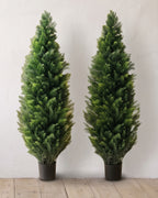 A pair of artificial cedar topiary trees at 48 in, in black nursery pots, against a warm white wall