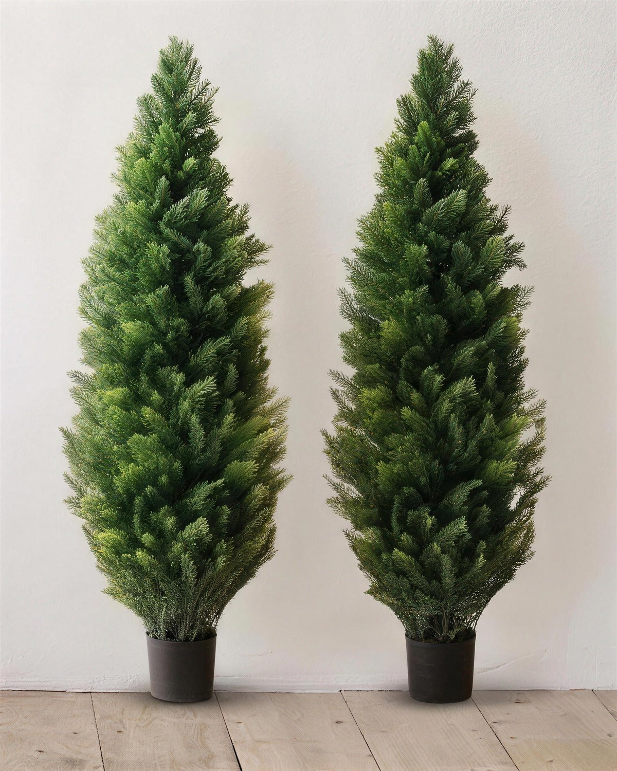 A pair of artificial cedar topiary trees at 36 in, in black nursery pots, against a warm white wall