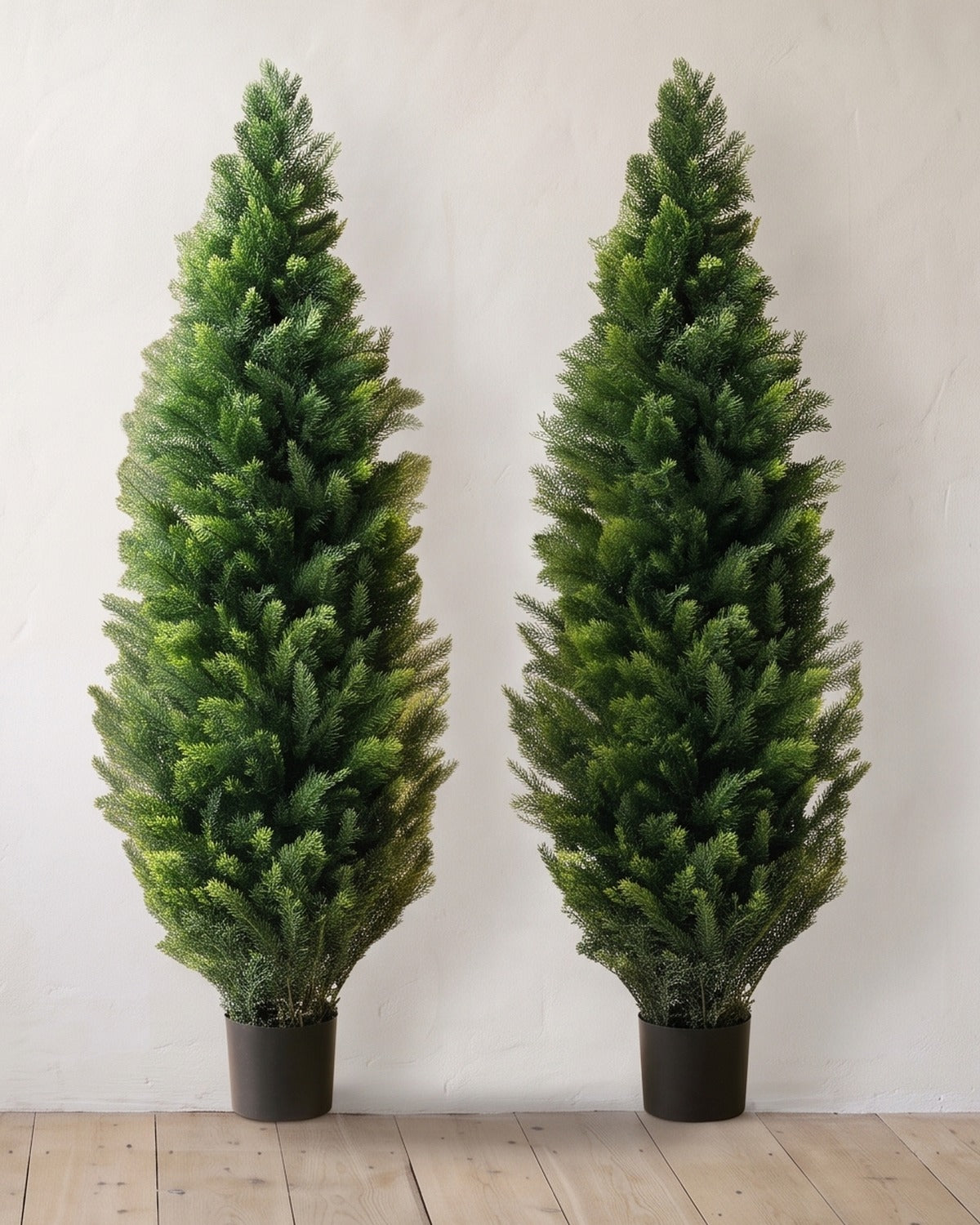 A pair of artificial cedar topiary trees at 60 in, in black nursery pots, against a warm white wall
