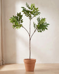 Artificial ficus branch with three side branches standing in a plain terracotta pot on pale oak floorboards (pot not included).