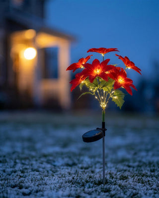 A solar poinsettia stake light glowing in a snowy front yard at dusk