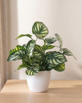 Watermelon leaf artificial potted foliage plant in its white ceramic pot on a pale oak tabletop