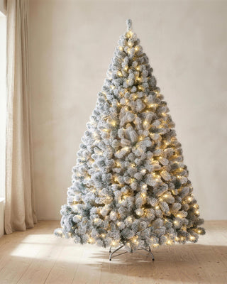 A pre-lit snow flocked Christmas tree glowing with warm white lights in a bright room