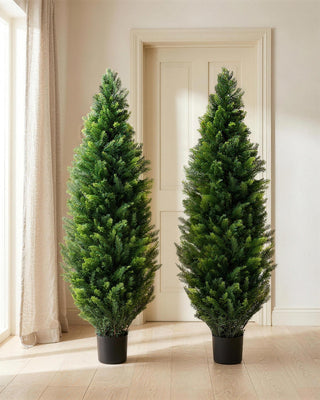 A pair of artificial cedar topiary trees in black nursery pots either side of a doorway