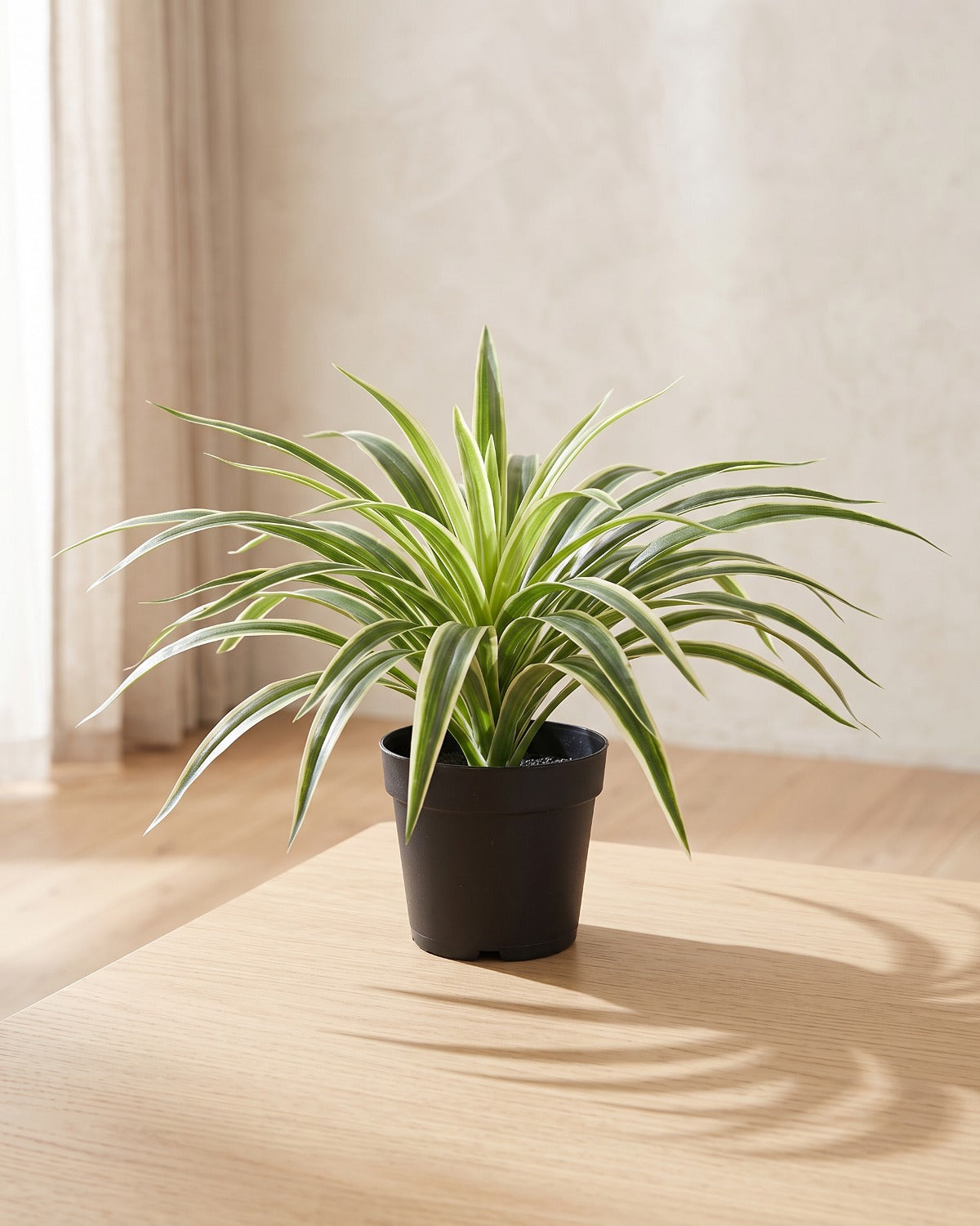 An artificial spider plant in a plain nursery pot on a pale oak table in a bright room; pot not included