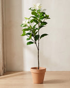 Artificial variegated leaf branch with white leaf tips, in a plain terracotta pot against a warm plaster wall; pot not included