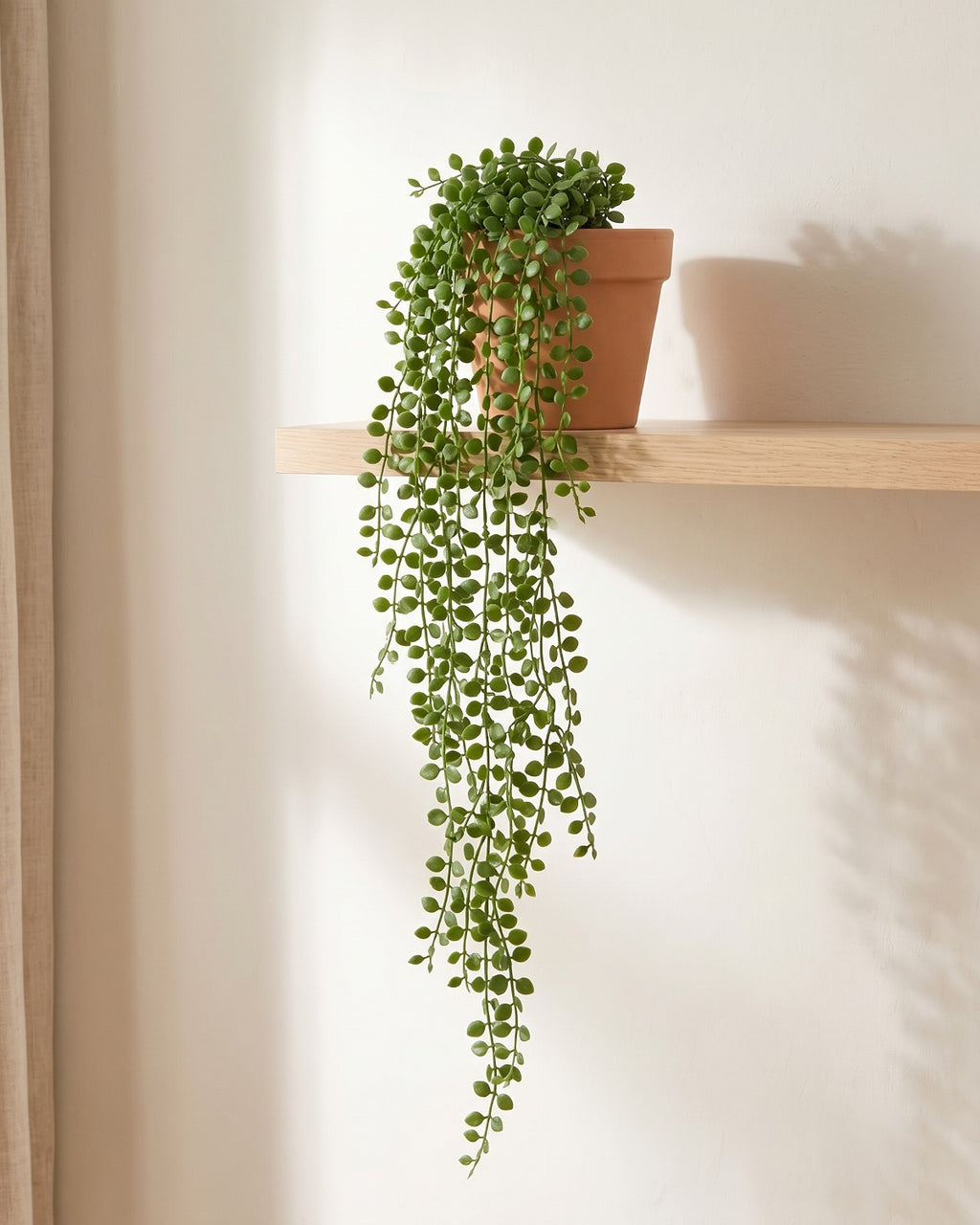 One artificial trailing vine hanging from a terracotta pot on a pale oak shelf; pot not included