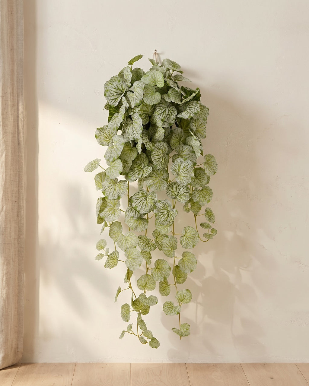 Artificial hanging begonia vine at its longer length, hanging from a small hook on a warm plaster wall; hook not included
