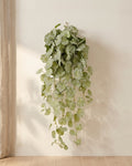 Artificial hanging begonia vine at its longer length, hanging from a small hook on a warm plaster wall; hook not included