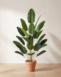 Artificial banana leaf bush, broad paddle leaves on separate stems, in a plain terracotta pot against a warm plaster wall; pot not included