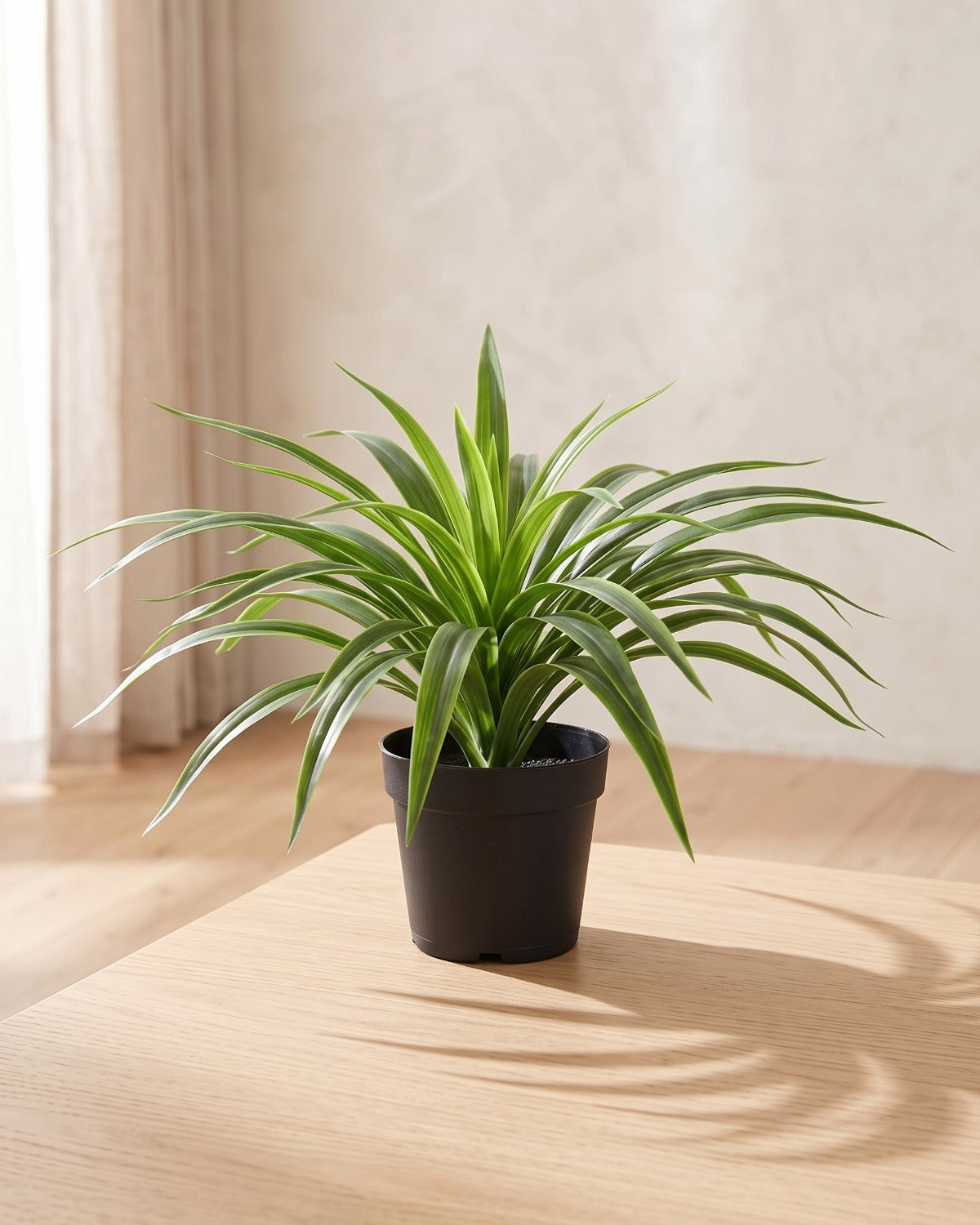 Green artificial spider plant in a plain black nursery pot on a pale oak table; pot not included