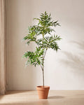 Artificial bamboo branch with two side branches standing in a plain terracotta pot on pale oak floorboards (pot not included).