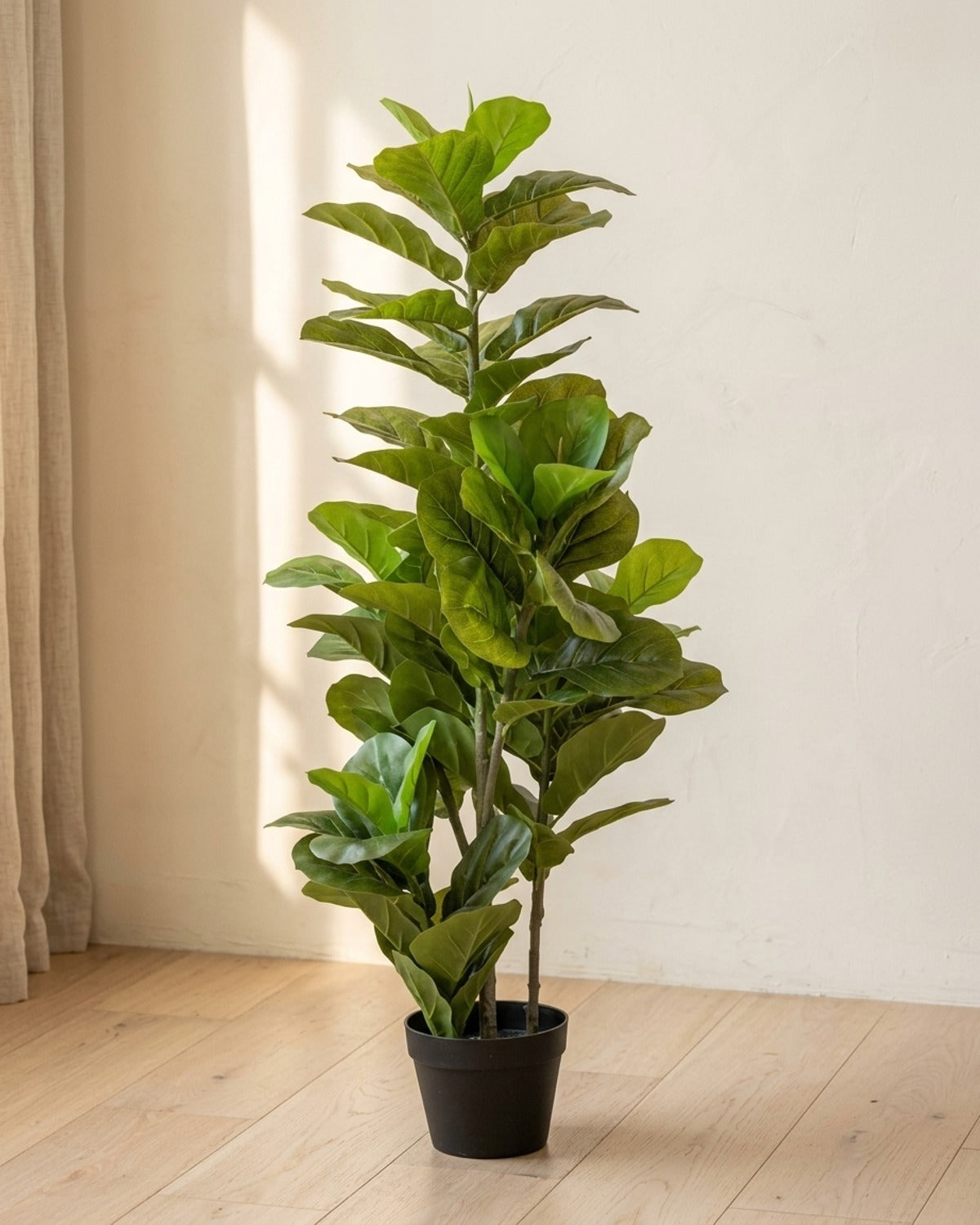 Artificial fiddle leaf fig tree in its black nursery pot on pale oak floorboards against a warm plaster wall
