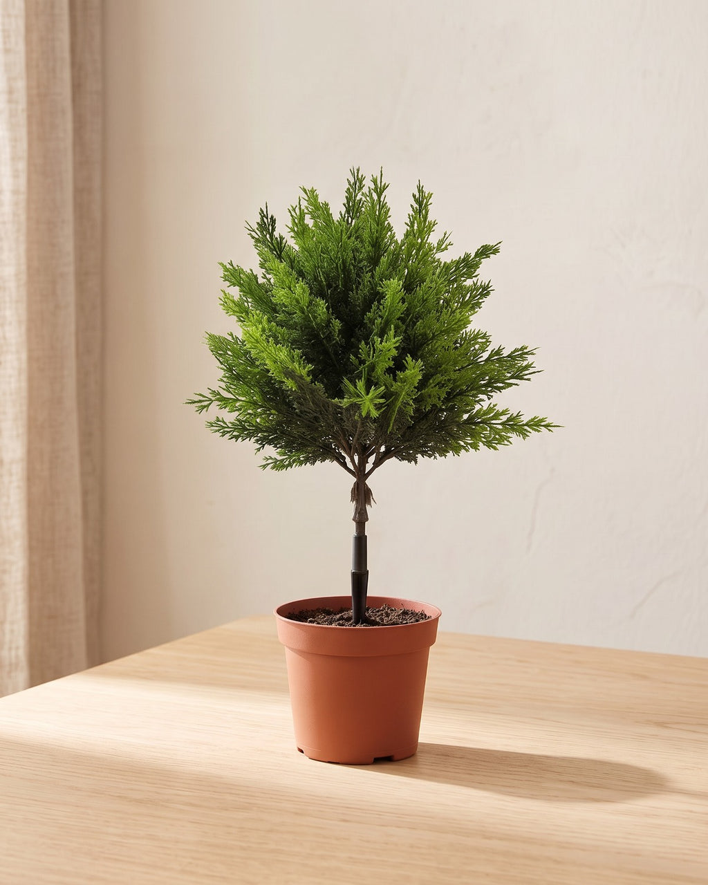 A shorter, broader artificial mini Christmas tree with dark cypress foliage, in a plain nursery pot on a pale oak table; pot not included