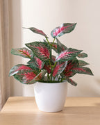 Red perilla artificial potted foliage plant in its white ceramic pot on a pale oak tabletop