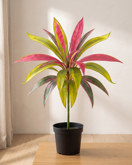 An artificial dracaena in a plain nursery pot on a pale oak table in a bright room; pot not included