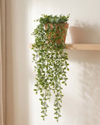 Two artificial trailing vines together in a terracotta pot on a pale oak shelf; pot not included