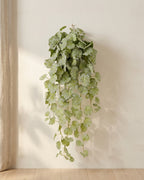 Artificial hanging begonia vine hanging from a small hook on a warm plaster wall