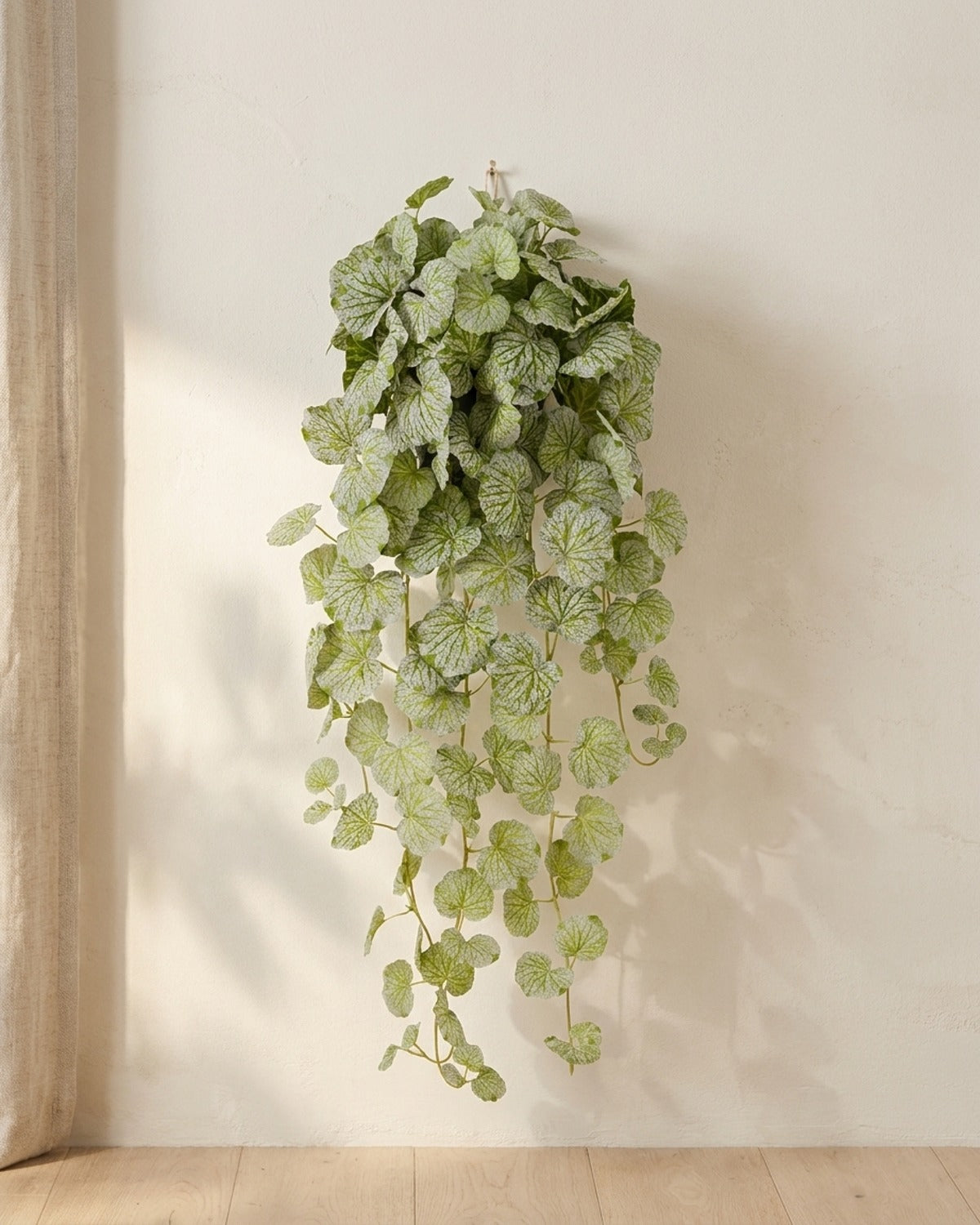 Artificial hanging begonia vine hanging from a small hook on a warm plaster wall