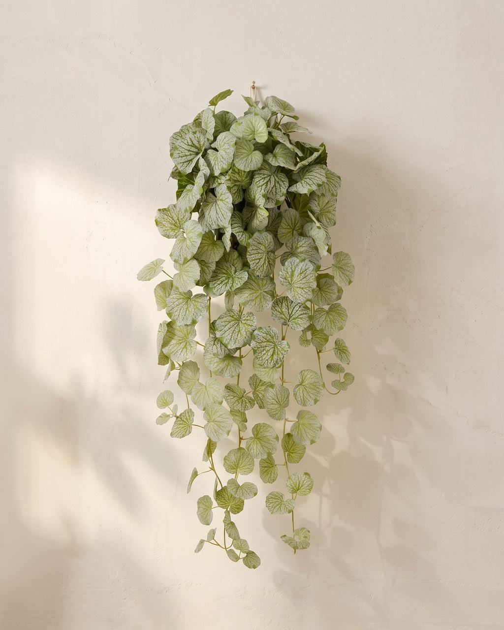 Artificial hanging begonia vine at its shorter length, hanging from a small hook on a warm plaster wall; hook not included
