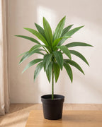 A green artificial dracaena, the leaves plain mid green, in a plain nursery pot on a pale oak floor; pot not included