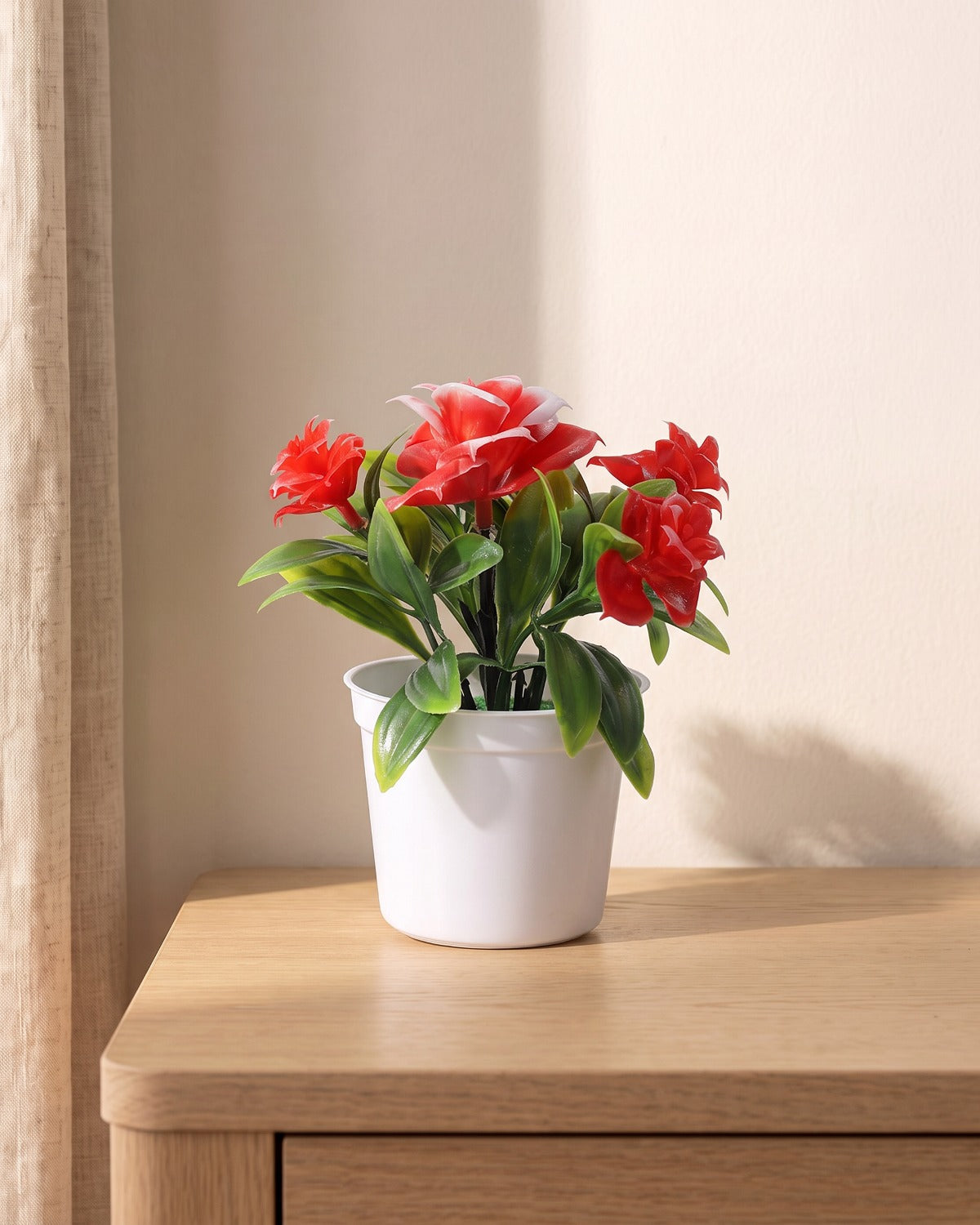 A small artificial flowering pot with scarlet red blooms, in the white pot it comes in, on a pale oak table