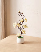 A small artificial plum blossom bonsai in cream ivory bloom, in the white ceramic pot it comes in, on a pale oak table