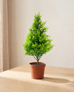 A bright green bushy artificial mini cypress tree, in a plain nursery pot on a pale oak table; pot not included