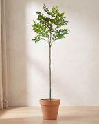 Artificial ficus branch, a single stem with one crown of leaves, standing in a plain terracotta pot on pale oak floorboards (pot not included).