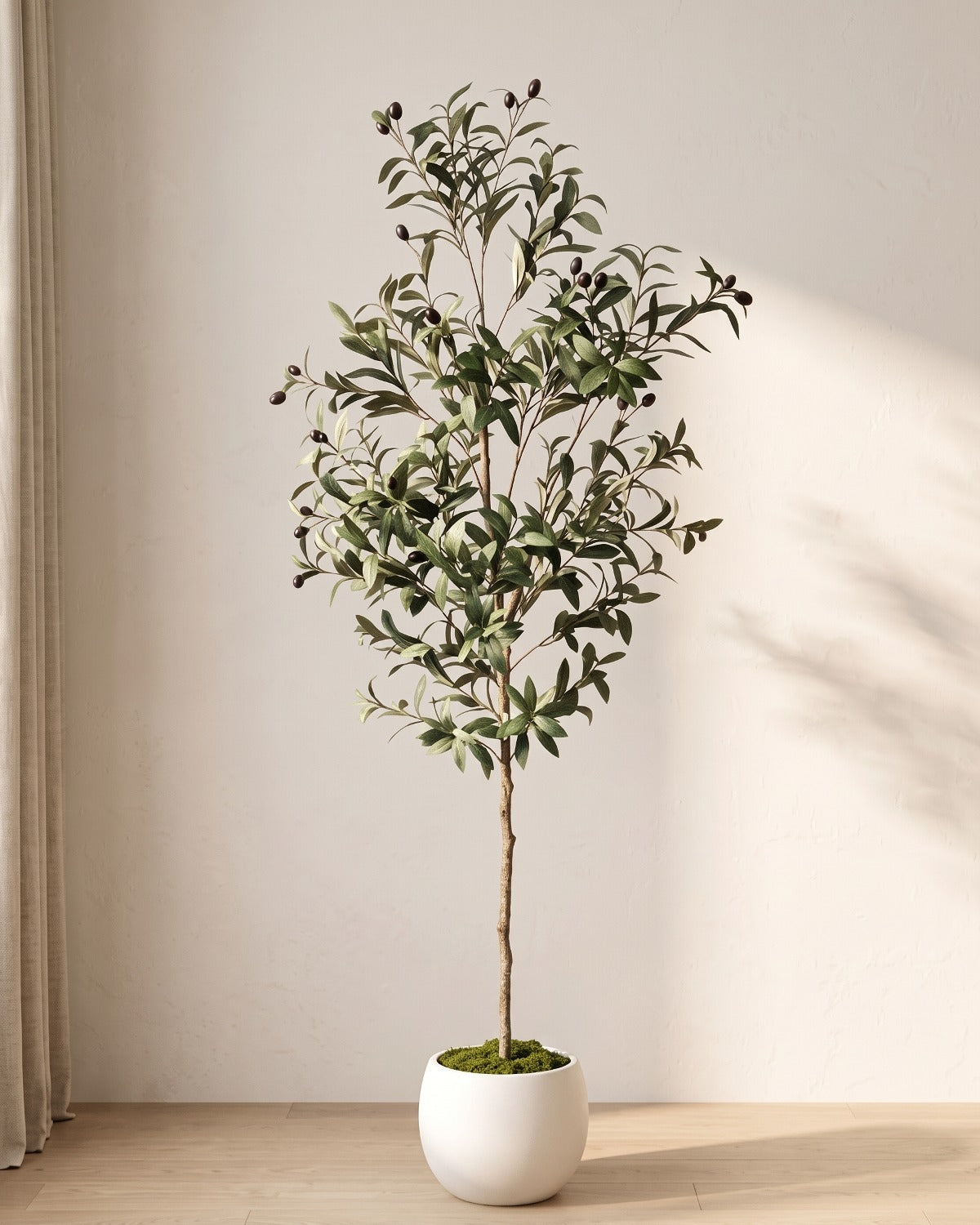 The 55 in artificial olive tree in the small white pot it ships with, on an oak floor