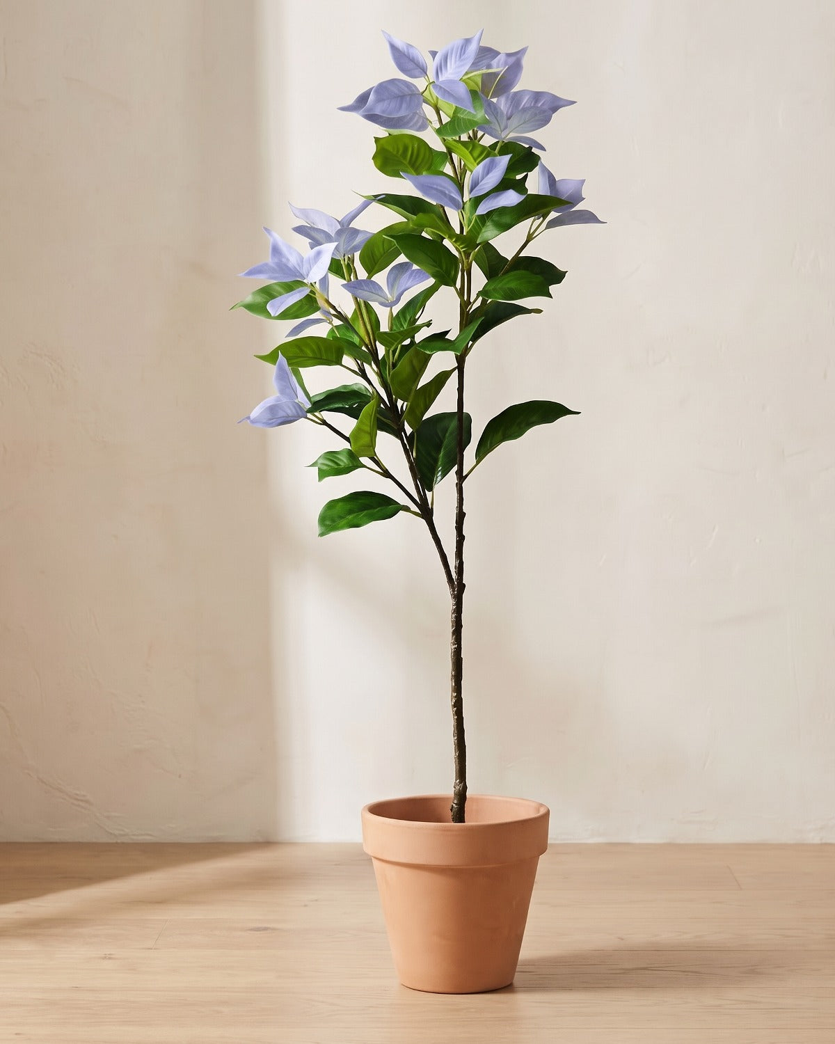 Artificial variegated leaf branch with lilac leaf tips, in a plain terracotta pot against a warm plaster wall; pot not included