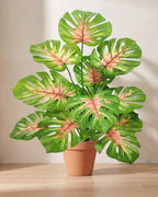 Artificial monstera bush with split leaves veined in pink over mid green, in a plain terracotta pot; pot not included