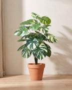 Artificial monstera bush with split leaves patched in cream and pale green, in a plain terracotta pot; pot not included