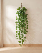 Marbled leaf artificial ivy garland hanging from a simple hook on an off-white plaster wall, its full drop clear of the floor