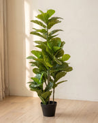 A tall artificial fiddle leaf fig tree, well filled with leaves, in its black nursery pot on pale oak floorboards; planter not included