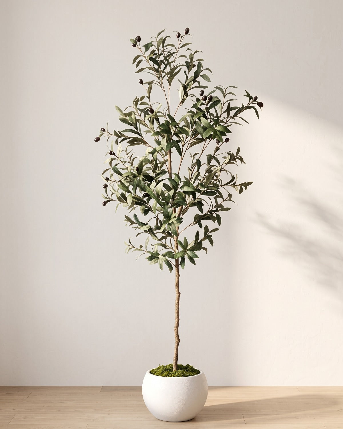 The 63 in artificial olive tree in the small white pot it ships with, on an oak floor