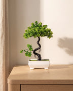 A small artificial green bonsai with an upright twisted trunk, in the white ceramic tray it comes in, on a pale oak table